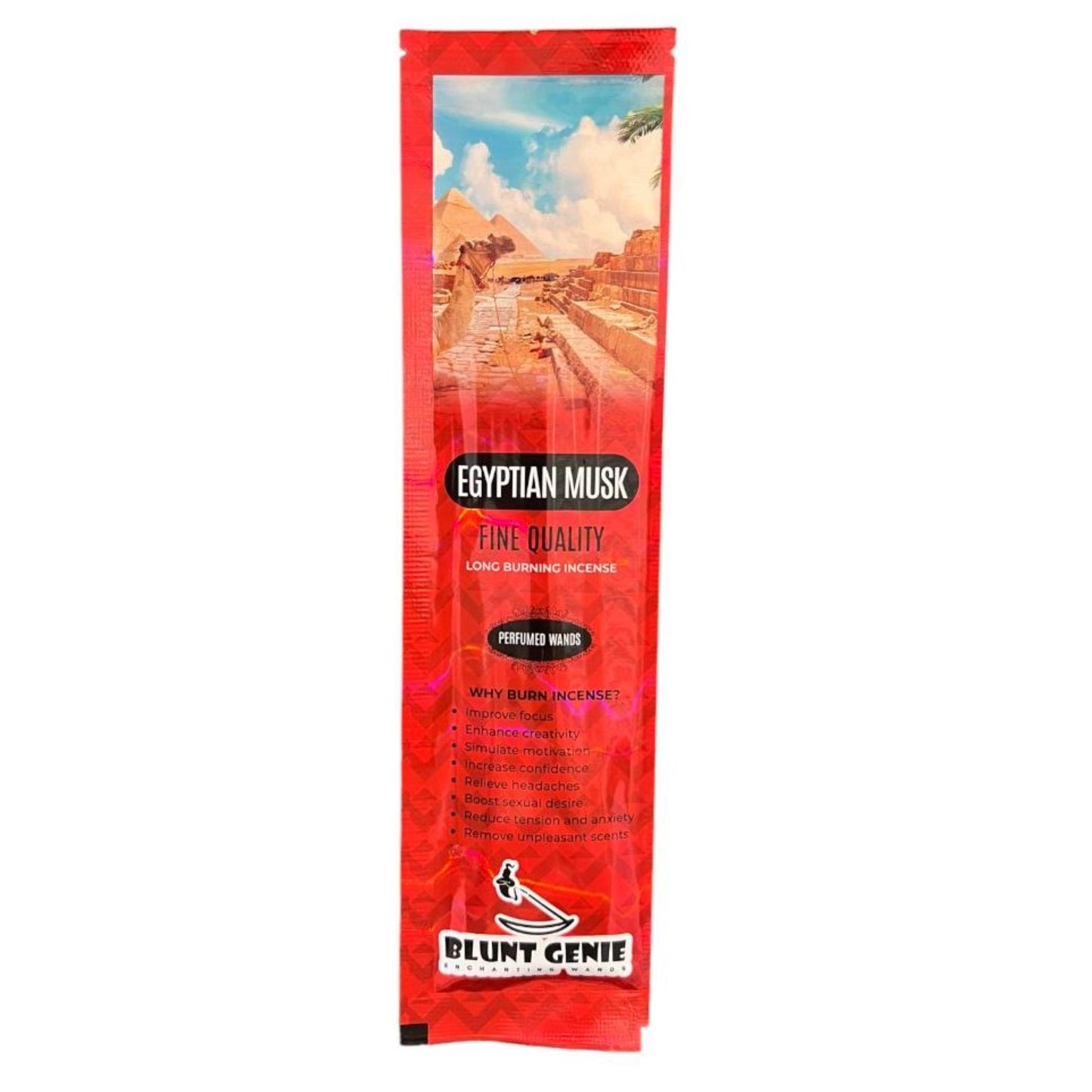 BLUNTGENIE INCENSE-PACK 25CT