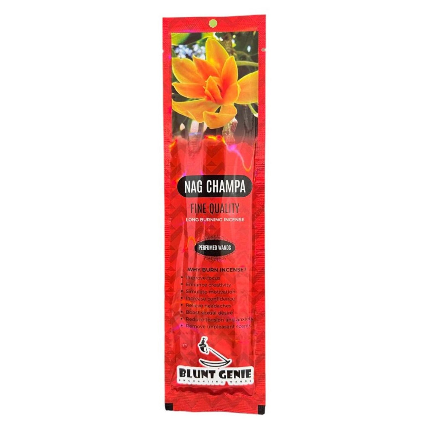 BLUNTGENIE INCENSE-PACK 25CT